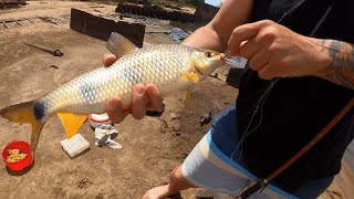 Pesca de Bogas en el Rio Uruguay, Pescando con Caña y Masa en los Barcos de Cemento San José