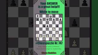 #Chesspuzzle 747