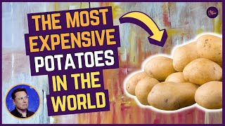 Most Expensive Foods In the World | Millionaire Lifestyle Motivation