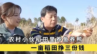 農村小伙在稻田里養黃金魚，讓一畝稻田一千多元的收益，翻了十倍 #于途史紀 #古墓 #考古發現 #考古 #盜墓筆記