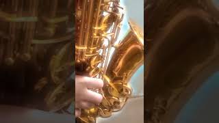 alto sax solo in Bb (with growling) #jazzsaxophone #saxophone #music