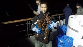 GailForce Sportfishing - March 7th 2015 - Catalina Lobster Hoopnetting