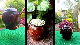 how to make ഭരണി at home with coconut shell coconut🥥🥥🥰🥰