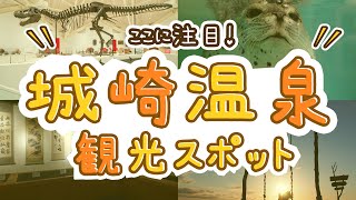 城崎温泉の観光スポットのおすすめ10選！ここに注目！