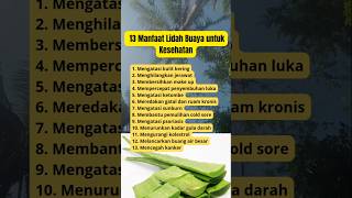 Manfaat lidah buaya untuk kesehatan #infokesehatan #manfaatlidahbuaya #polahidupsehat #shorts