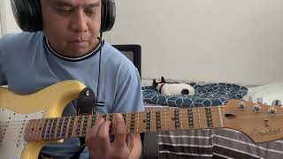 Hair of the dog rhythm guitar cover