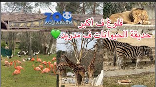 Vlog 2 :    🌳طلعة مع الأصدقاء 👭إلى أكبر حديقة الحيوانات في مدريد