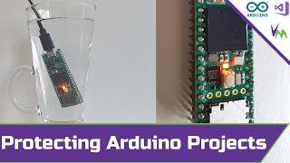 Protecting Your Arduino Projects