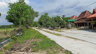 suasana pedesaan hari ini desa Rejosari dusun gulangan kab Grobogan Jawa Tengah