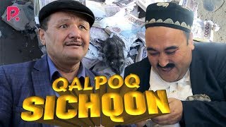 Qalpoq - Sichqon | Калпок - Сичкон (hajviy ko'rsatuv)