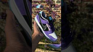 OFFICIAL PROMO: Hayley Wilson x Nike SB Dunk Low Pro 😈 2025