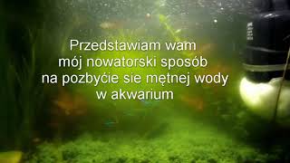 Jak zwalczyć mętną wodę w akwarium.Unclean water in the aquarium