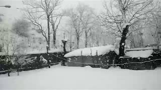 Snowing heavily in Kashmir