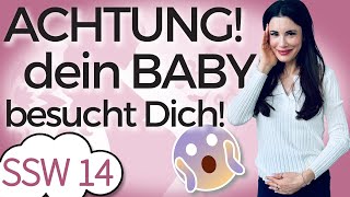 SSW 14: Hast du es schon gespürt? | Mein Kinderwunsch