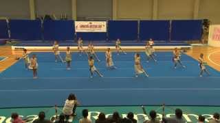 Saggio Ginnastica Artistica Lugo 2013