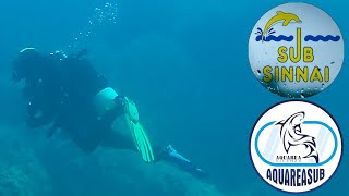 Un tuffo all'Isola dei Cavoli (Cerniolandia)