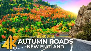 The Beauty of Fall Colors along the Roads of New England (Connecticut) - 4K Scenic Autumn Drive