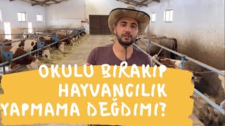 TARIM VE HAYVANCILIK SEKTÖRÜ NASIL BİR SEKTÖR??