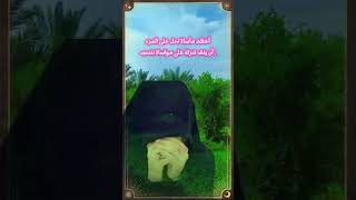 حسيني /شكثر مشتاقه اشوفك واحجي وياك