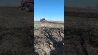 1155 MF chisel plowing