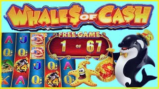 Whales of Cash looks AMAZING and I got 67 FREE SPINS!!