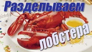 Правильно разделываем лобстера