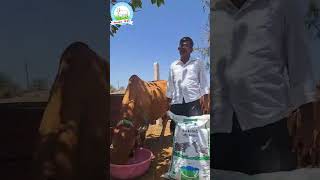 Sarhad - Cattle Feed Review