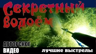 Ночная подводная охота на секретном водоёме. Трофейные выстрелы