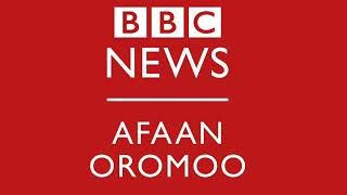 Sagantaa BBC Afaan oromoo guyyaa hardhaa 14,03,2018