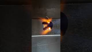 Suger Cube VS Fire interesting #shorts #fire #sugercube