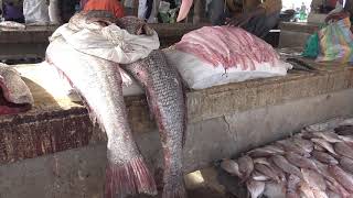 Nouakchott: sand & ocean