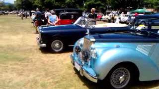 Vintage and veteran car show rotorua