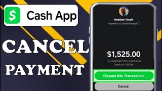 HOW TO DISPUTE CASH APP PAYMENT (2024)