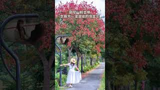 李雅芳～濛濛細雨憶當年❤️鋼琴演奏🎹國語老歌輕音樂《醫院鋼琴志工》