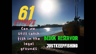 Can We Still Catch Fish At The Legal Fishing Grounds In Singapore - Bedok Reservoir Part II