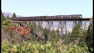 Amtrak Coast Starlight at the Dry Creek Trestle