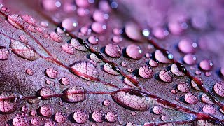 Sonido de lluvia y cristales | Meditar | Truenos suaves