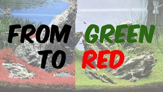 From Green 🍀 To Red 🍁 in 4 Minutes | De Verde 🍀 a Rojo 🍁 en 4 Minutos