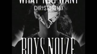 Boys Noize - What You Want(Chr†sto Remix)