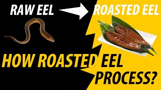 How Roasted Eel Process？Unagi Kabayaki Processing Line