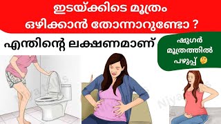 Frequent urination during pregnancy malayalam | UTI during pregnancy | urinary tract infection