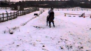 horse riding in the snow