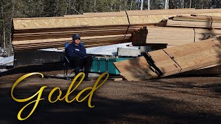 Found GOLD on my driveway. Cabin Update - Spirit Forest - S5 -Ep#25