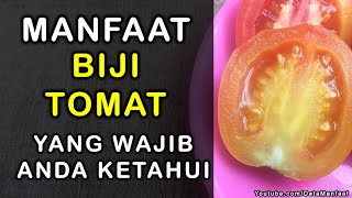 Manfaat Biji Tomat | Khasiat Biji Tomat Untuk Kesehatan Yang Wajib Anda Ketahui