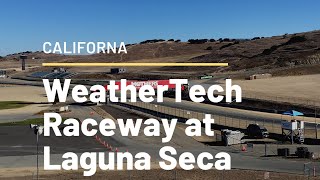 WATCHING CARS RACED AT LAGUNA SECA RACEWAY