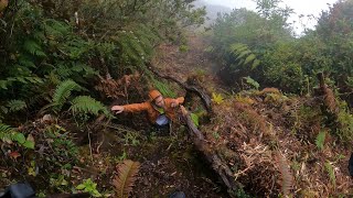 Ascenso al Cráter del Volcán Porvenir Costa Rica