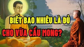 Phật Dạy "Biết Bao Nhiêu Là Đủ Cho Vừa Cầu Mong" Tin Lời Phật Dạy Giúp Ta Sống Hạnh Phúc Bình Yên