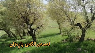 سەیرانگای پاڕەزان ئامادەکردنی فاسۆلیاوگۆشت و برنج بە دار🔥🔥