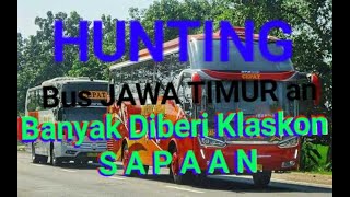 Hunting bus di tengah hutan jati (alas Ngawi)