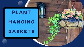 Plant Your Own Hanging Flower Basket | On a Budget